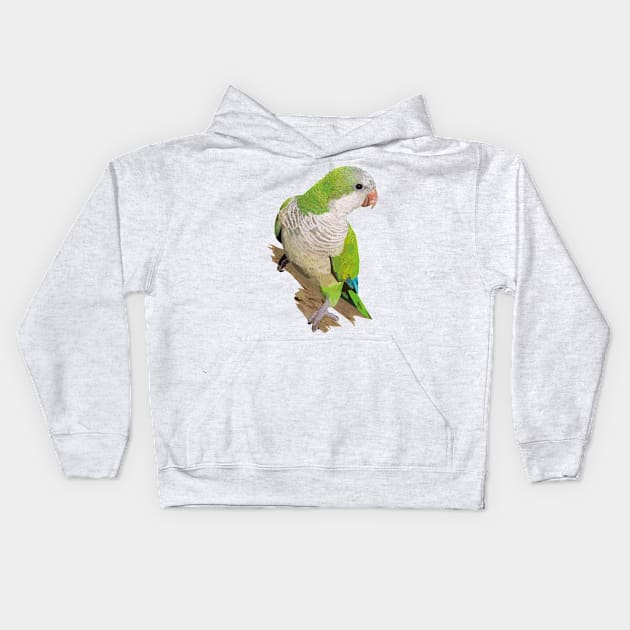 Argentine Parakeet Kids Hoodie by obscurite